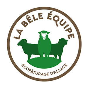 La bêle équipe Logo